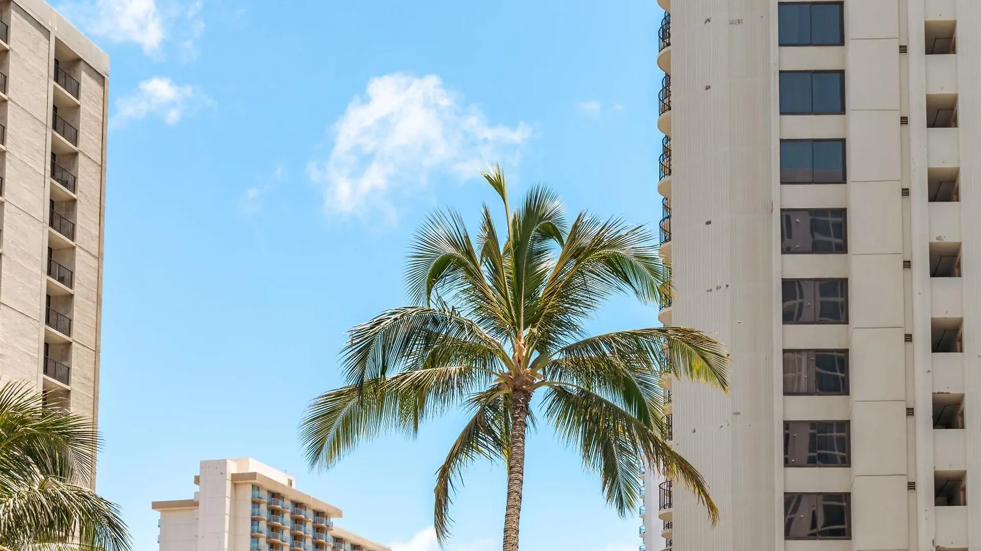 Tropical Gem Near Waikiki Beach With Free Parking! Honolulu 0*,