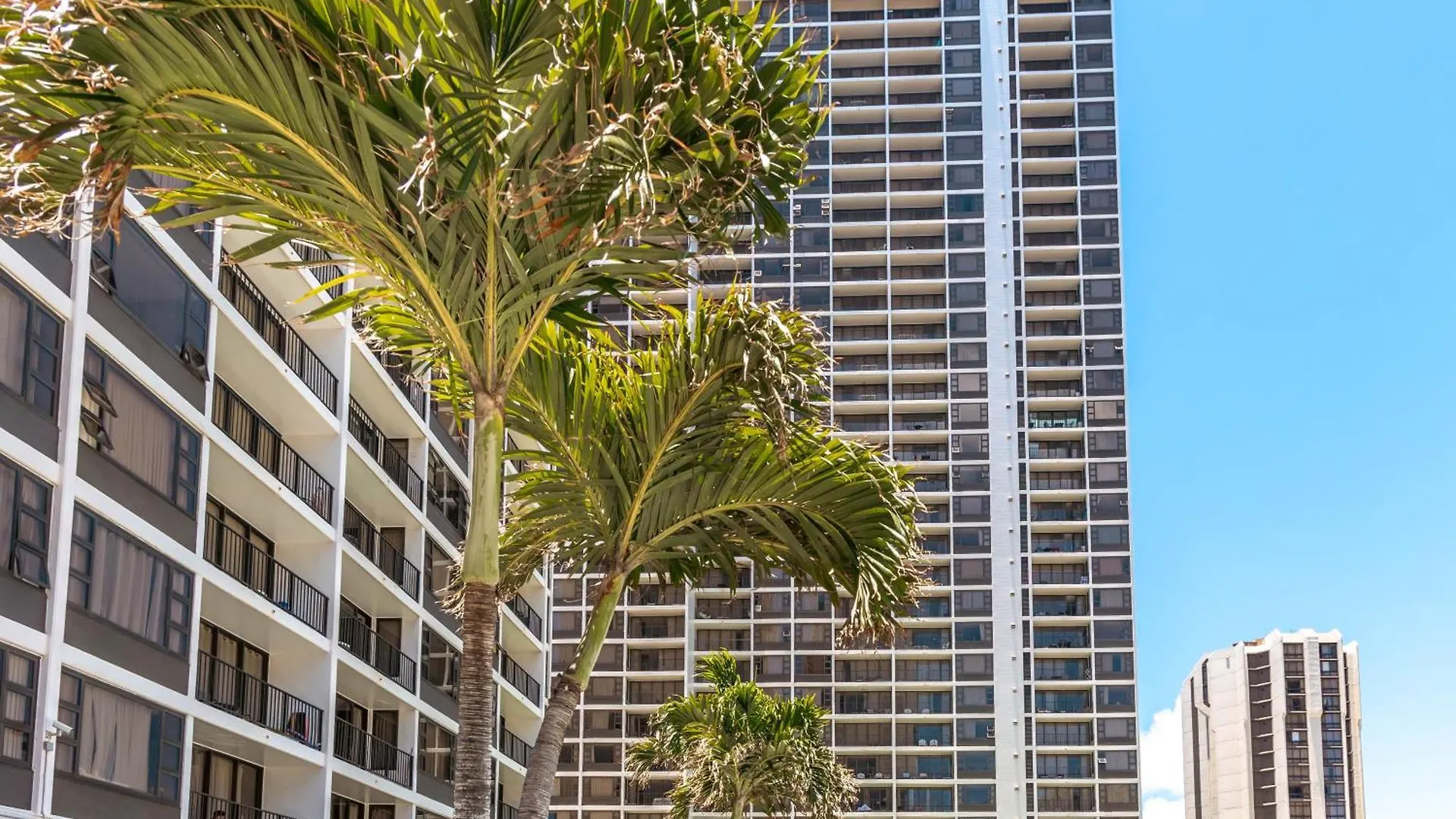 Tropical Gem Near Waikiki Beach With Free Parking! Honolulu Lägenhet