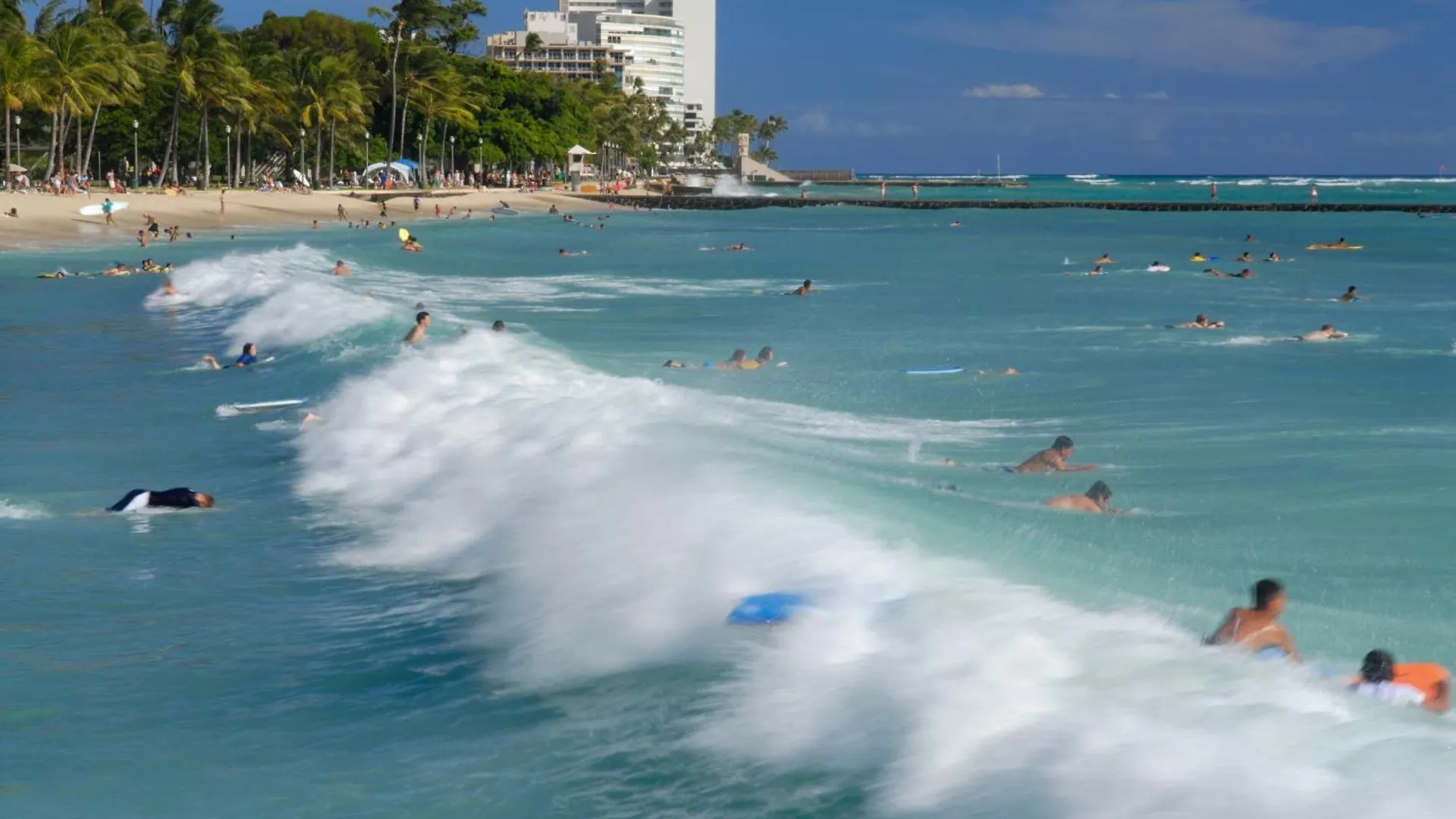 Tropical Gem Near Waikiki Beach With Free Parking! Honolulu