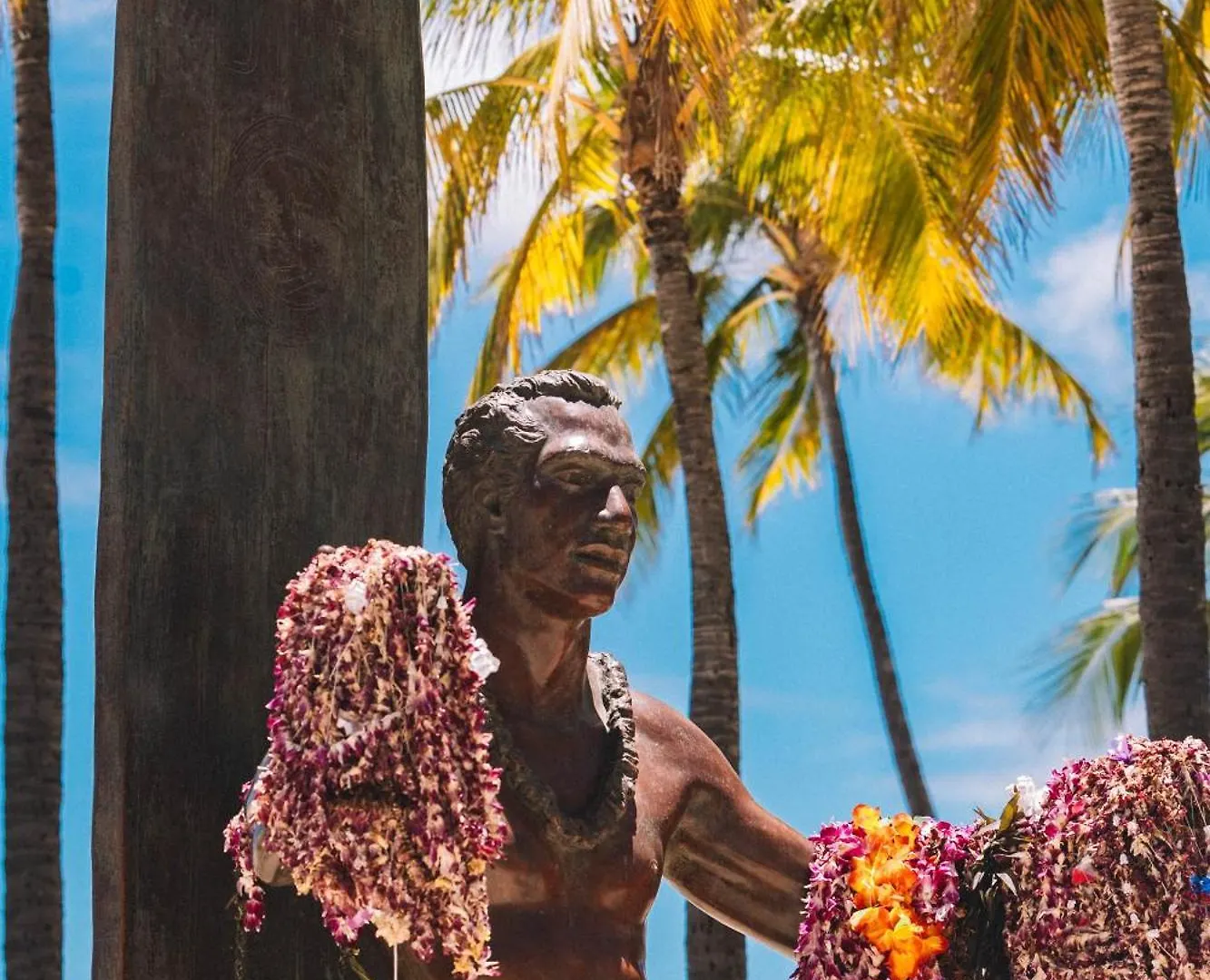Tropical Gem Near Waikiki Beach With Free Parking! Honolulu 0*,  USA