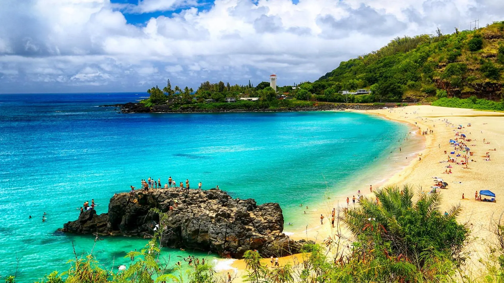Tropical Gem Near Waikiki Beach With Free Parking! Honolulu 0*,