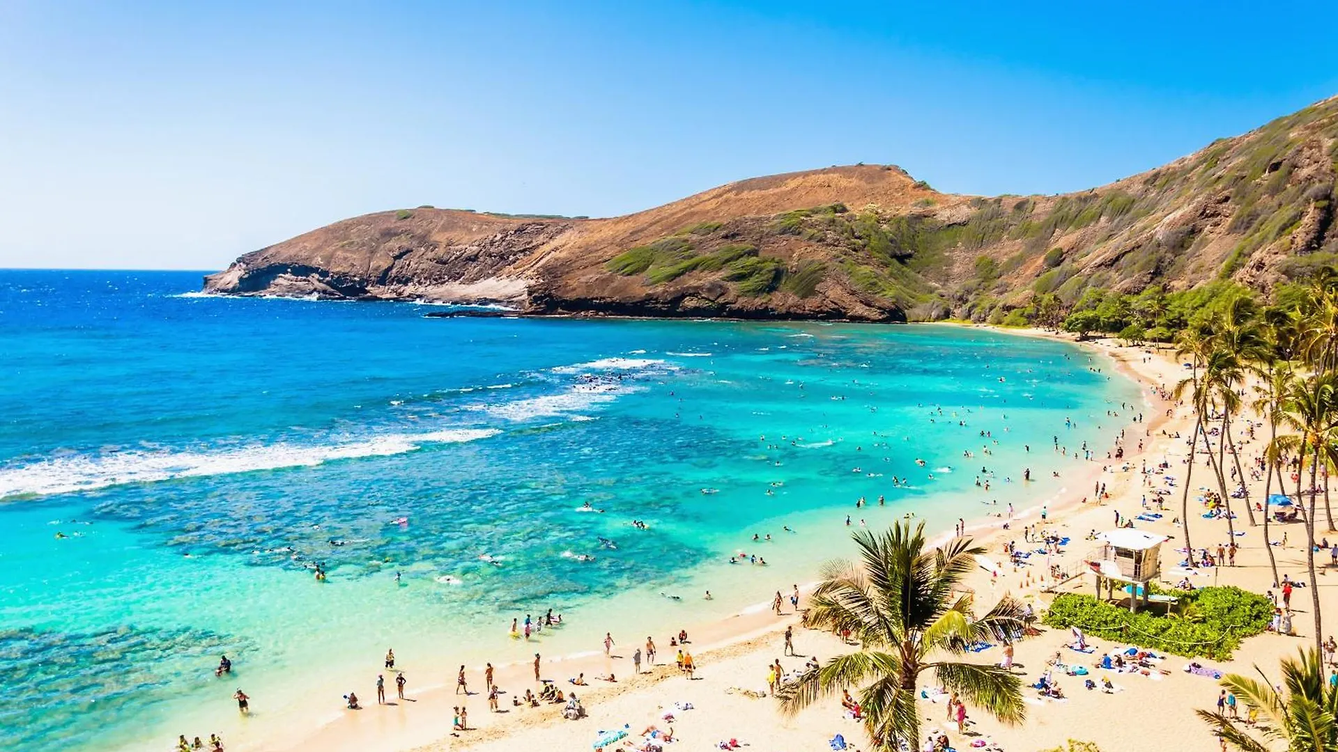 Tropical Gem Near Waikiki Beach With Free Parking! Honolulu Lägenhet